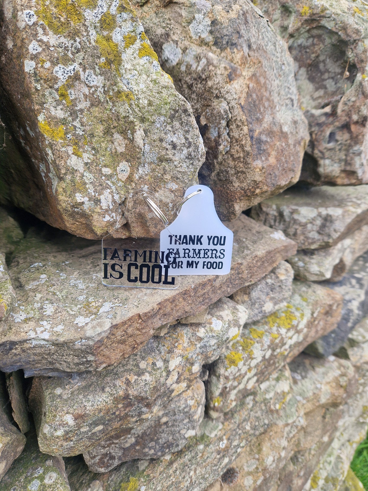 Cattle Tag Keyring