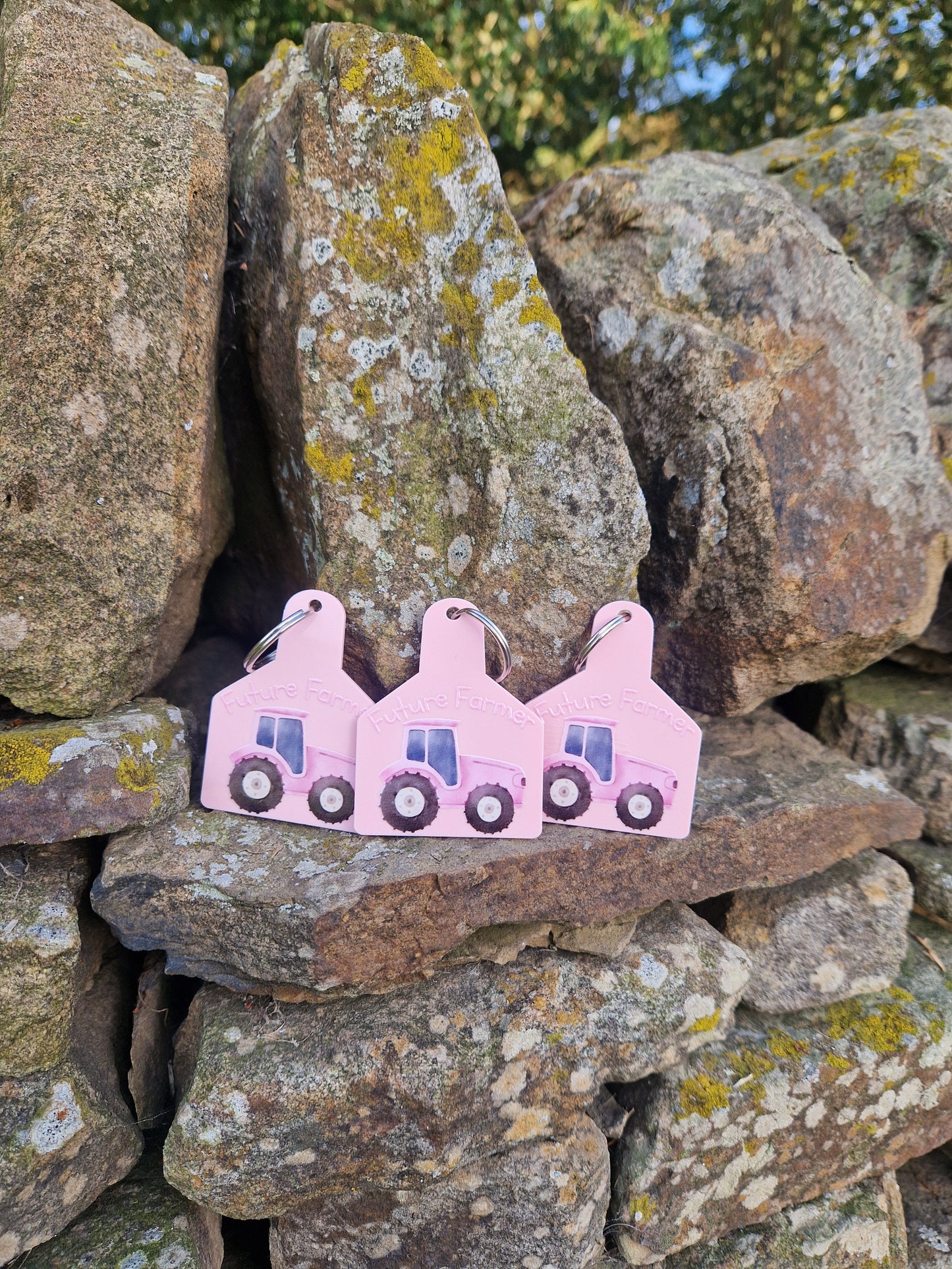 Cattle Tag Keyring