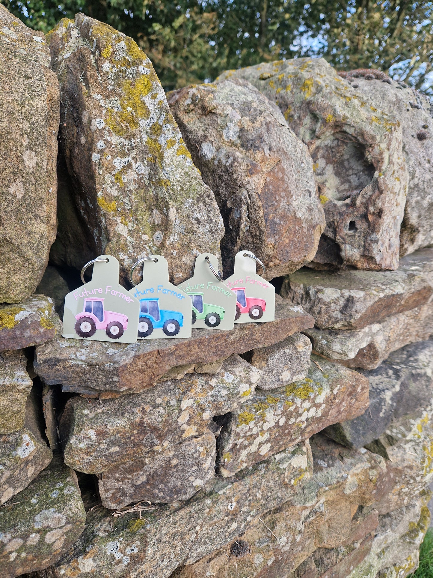 Cattle Tag Keyring
