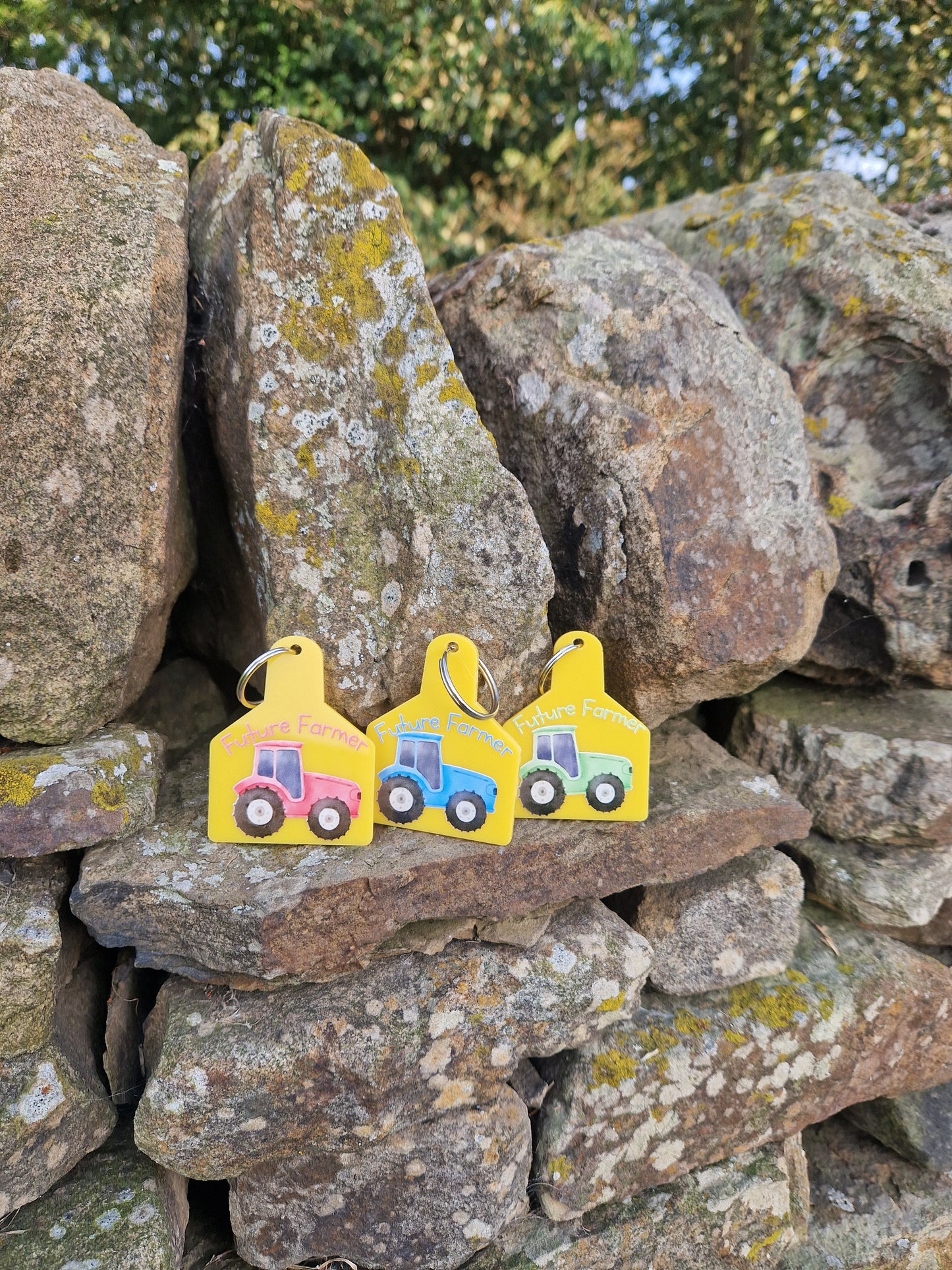 Cattle Tag Keyring