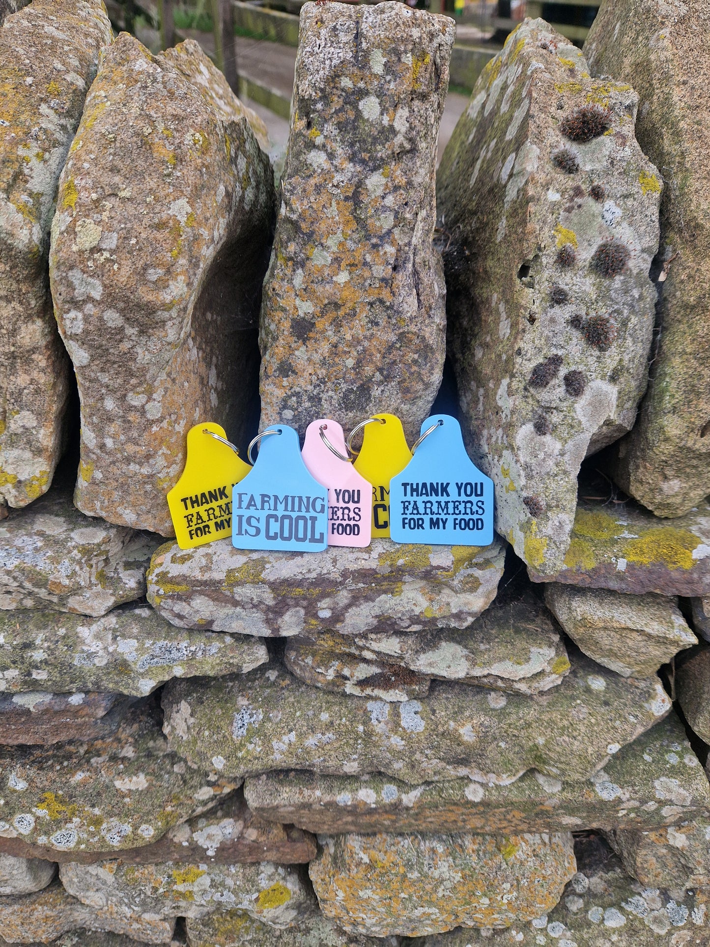 Cattle Tag Keyring